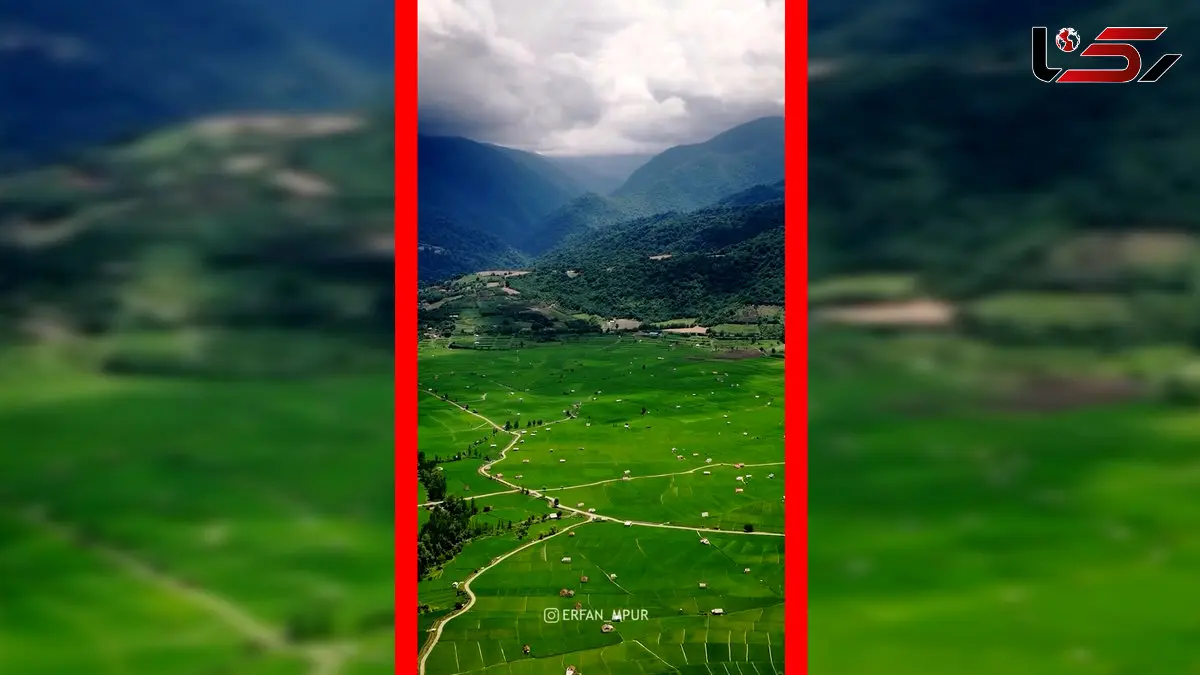 فیلم دشت سرسبز مازندران از نمای هوایی