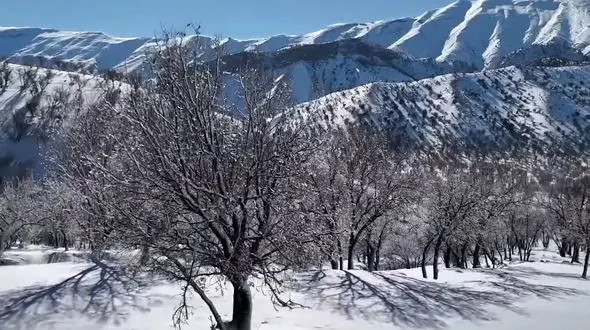 فیلم طبیعت دیدنی کبیرکوه ایلام