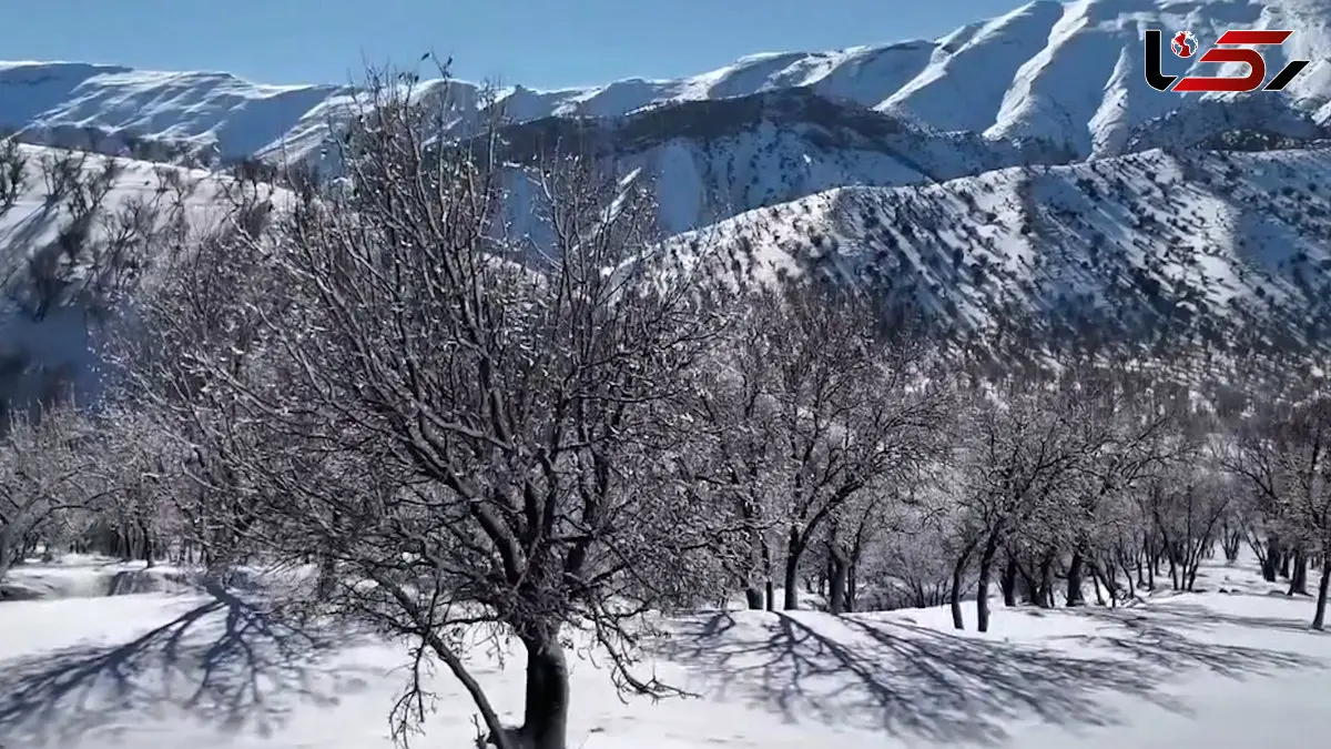 فیلم طبیعت دیدنی کبیرکوه ایلام