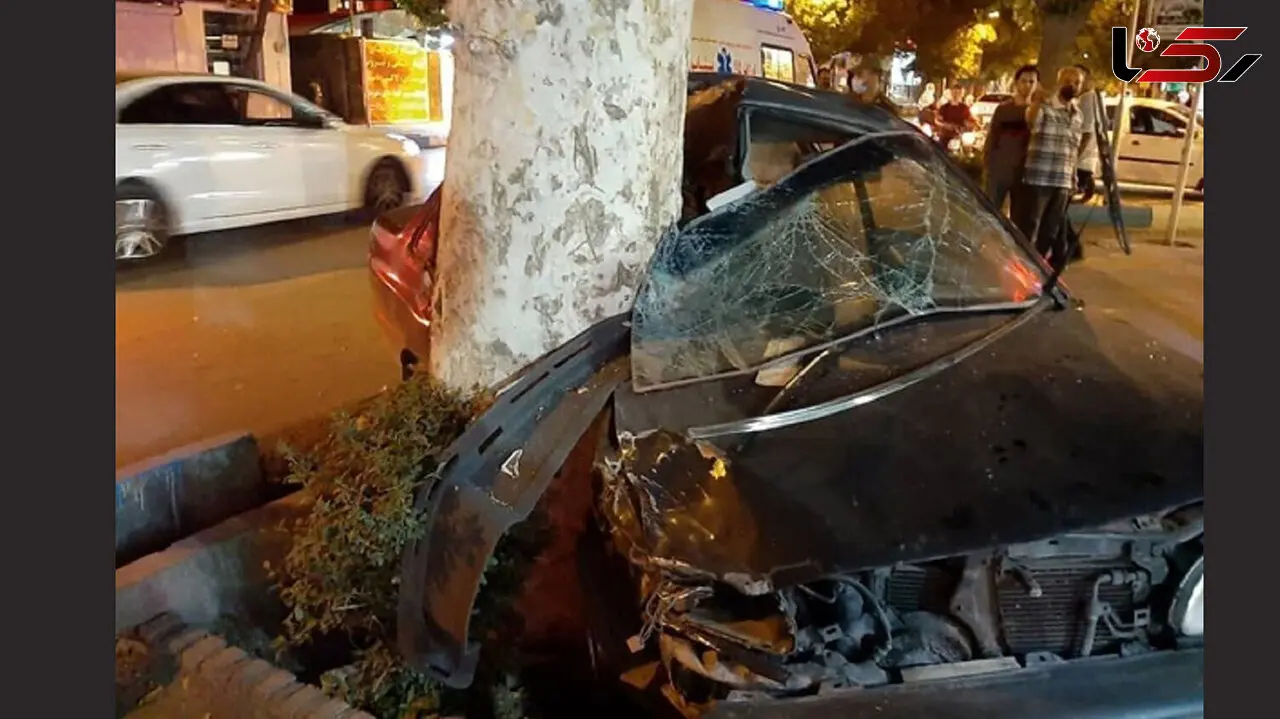 تصادف مرگبار پژو با درخت در بلوار قطب راوندی کاشان / پژو له شد + عکس هولناک