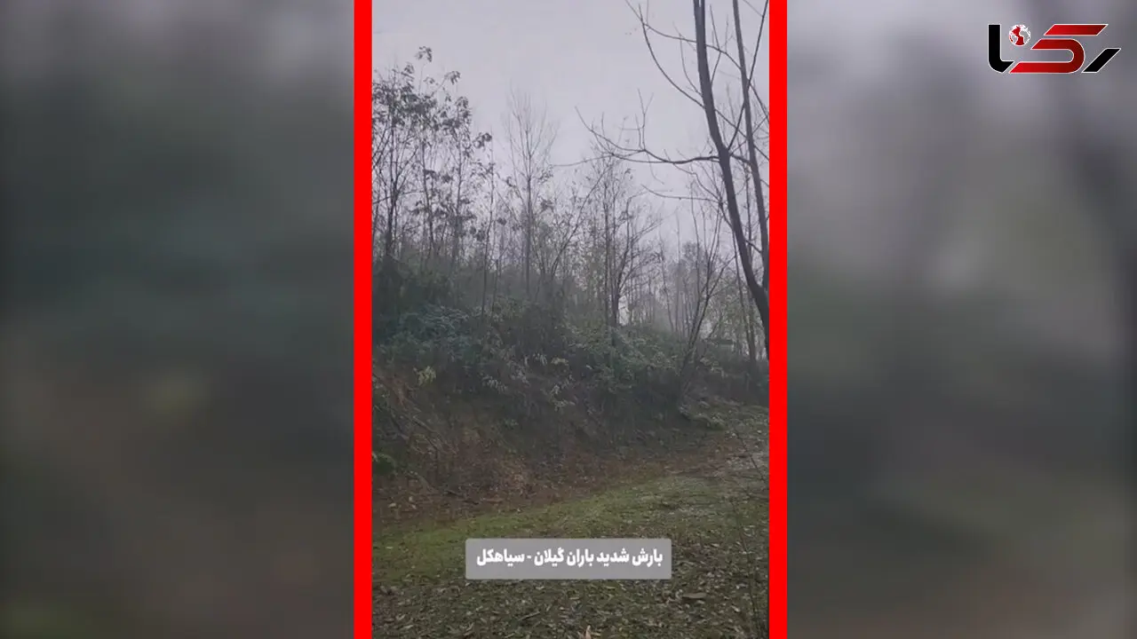 فیلم بارش شدید باران در شهرستان سیاهکل گیلان