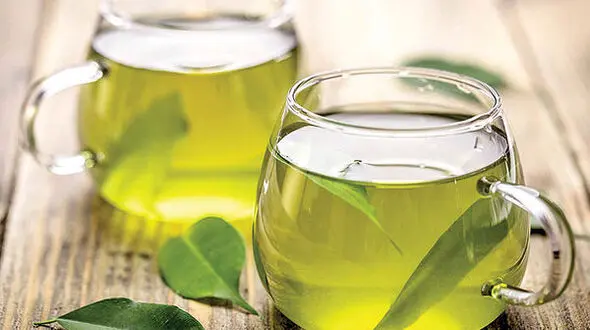 گیاهان دارویی برای درمان بیماری های کلیوی