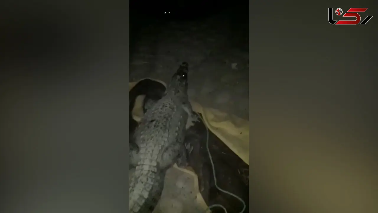 حمله گاندو به خانه خانواده چابهاری + فیلم وحشتناک 