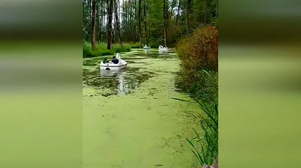 زیبایی های دریاچه‌ سراوان در گیلان + فیلم 