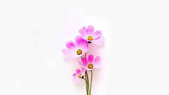 فال ابجد امروز 26 شهریور