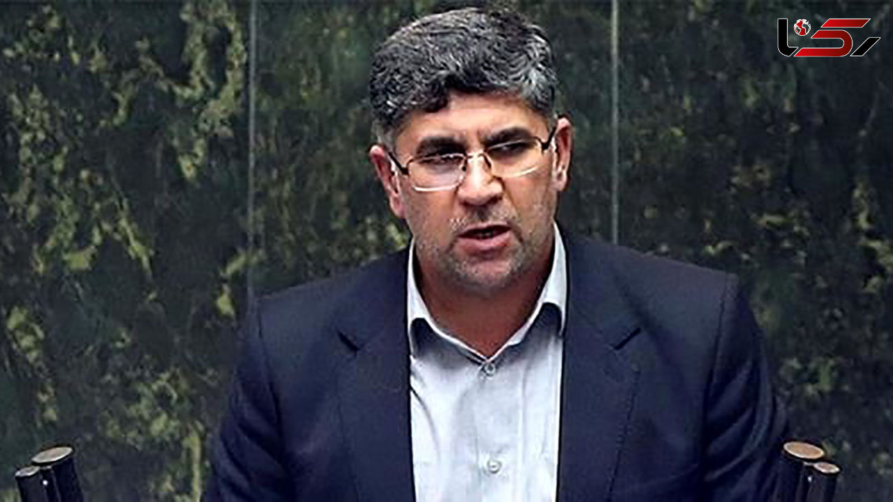 شهریار حیدری: نیروی انتظامی نهادی برای تامین امنیت داخلی است و مرجعی برای ارشاد نیست