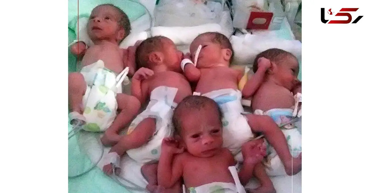 پنج قلوزایی نادر در یزد /  وزن این نوزادان بین ۵۴۰ گرم تا یک کیلو و ۷۰۰ گرم اعلام شده است
