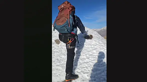 فیلم تلخ از گیر کردن سر روباه زیبا در دبه پلاستیکی رها شده در طبیعت 