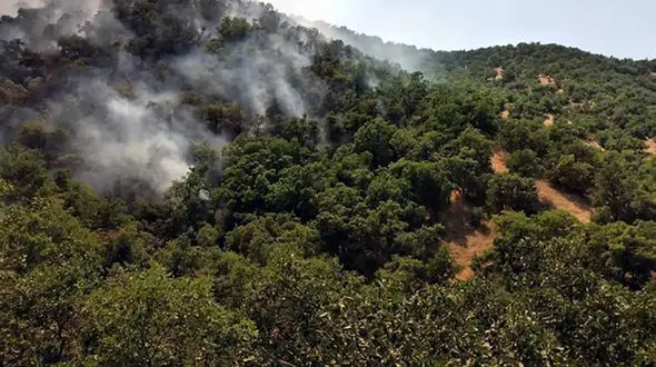 آتش‌ سوزی‌ هولناک در جنگل‌های گالیکش/ اعزام بالگرد برای اطفای حریق