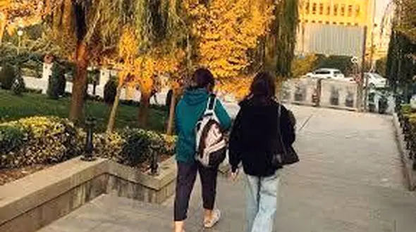 بعد از 3 بار بد پوششی چه اتفاقی می افتد؟