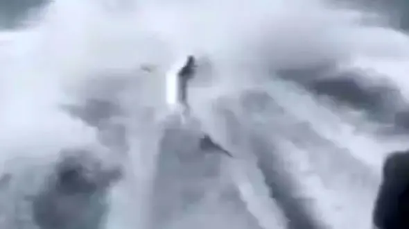 کوسه آزاری چند جوان برای تفریح + فیلم