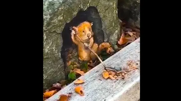 خلاقیت در طراحی با استفاده از تصاویر سه بعدی +فیلم