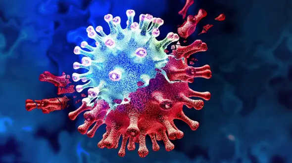 پشت پرده شام کرونایی به خبرنگاران / این خبرنگار کرونا گرفت!