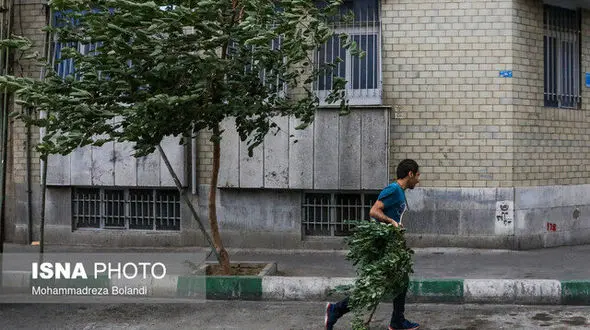 تدام هوای گرم با وزش باد در تهران