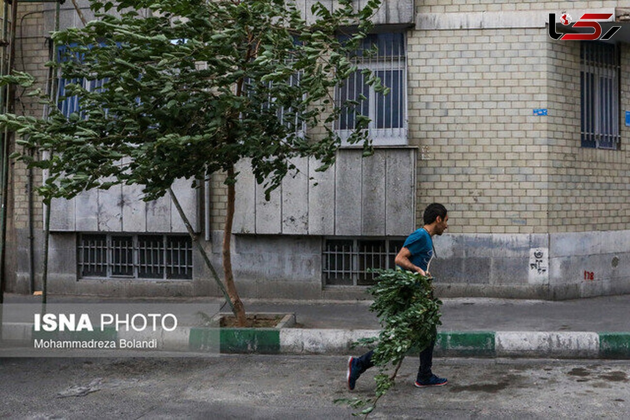 تدام هوای گرم با وزش باد در تهران