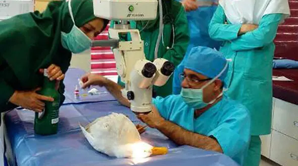 اولین عمل جراحی آب مروارید چشم یک اردک در تبریز + عکس