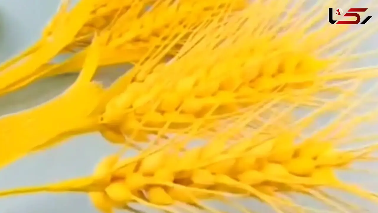 ساخت گندم با کاغذ + فیلم