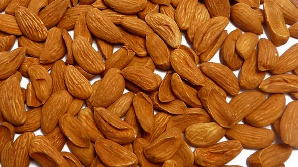 بهترین ویتامین E