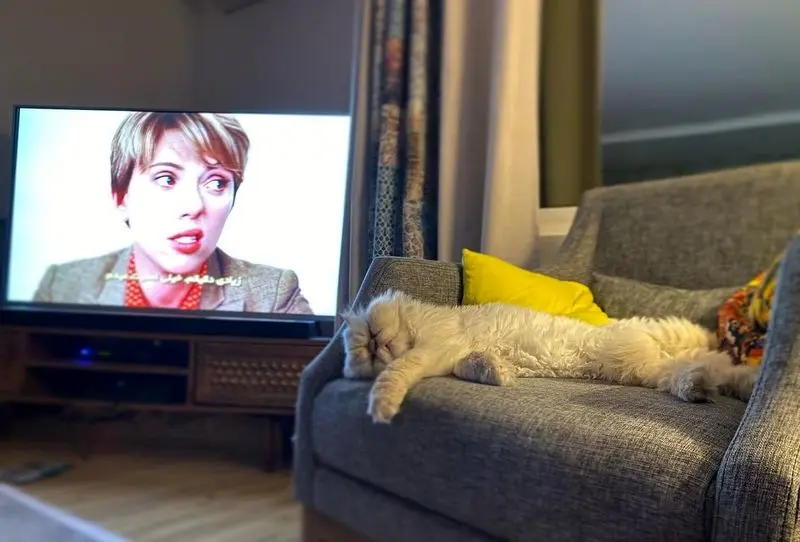 منزل علی اوجی