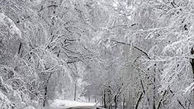 هشدار / کولاک و برف در جاده های 14 استان / از فردا قبل از سفر تماس بگیرید
