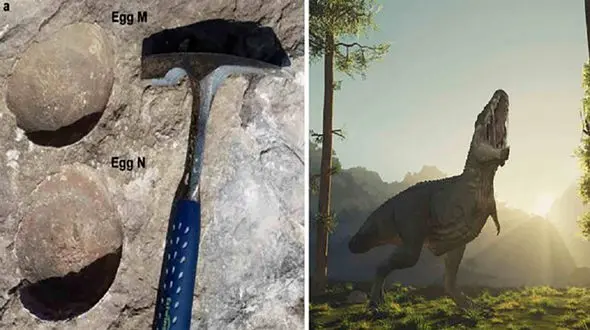 کشف عجیب در هند