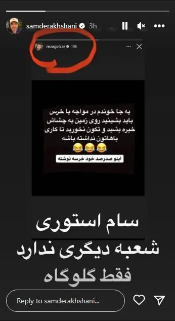 محمدرضا گلزار/سام درخشانی