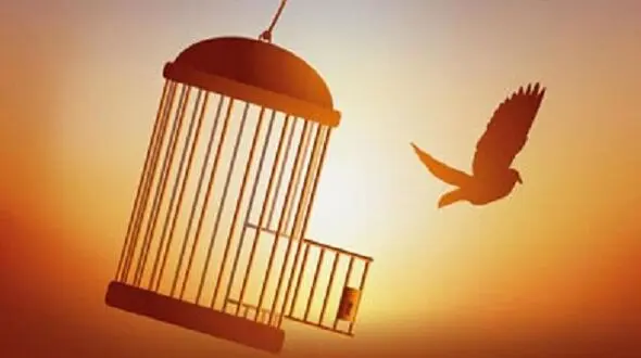سایه مرگ پس از ۱۷ سال از روی سر یک زندانی محو شد!