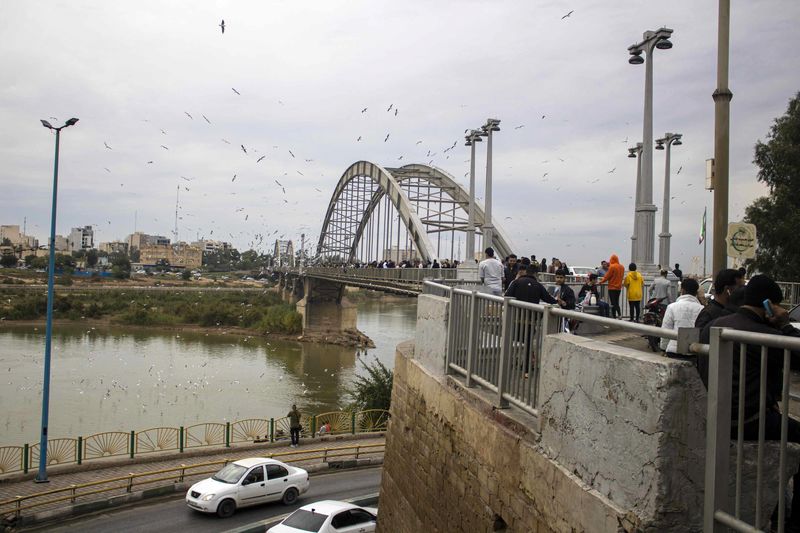 پرندگان مهاجر خوزستان