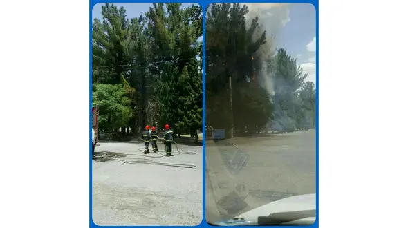  آتش‌‎گرفتن درختان براثر گرما در بیرجند +عکس