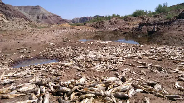 سد زدن روی رودخانه قزل اوزن بدون اجازه 