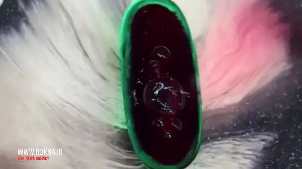 قرص ها چگونه جذب بدن می شوند؟ + فیلم