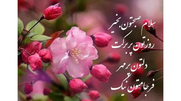 فال حافظ امروز 9 دی 