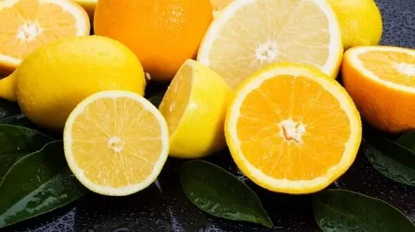 درمان های خانگی برای مبارزه با خارش نیش پشه