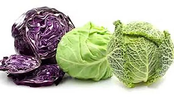 خوراکی های دوستدار کبد