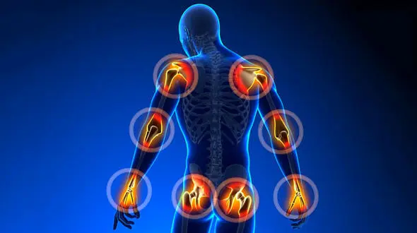 گیاهانی برای تسکین بیماری های مفاصل