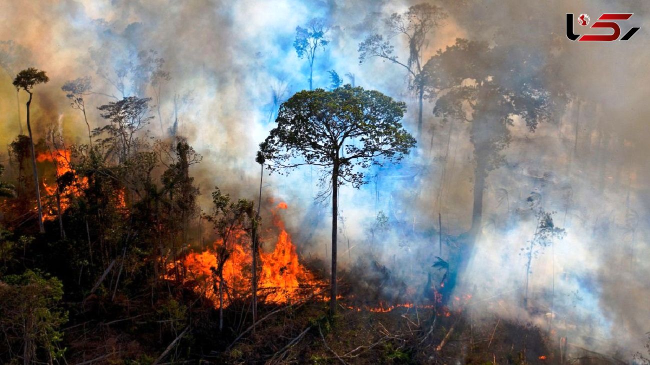 گسترش آتش سوزی در جنگل های آمازون در سال 2022 / ثبت نزدیک 83 هزار هشدار حریق فقط در برزیل 