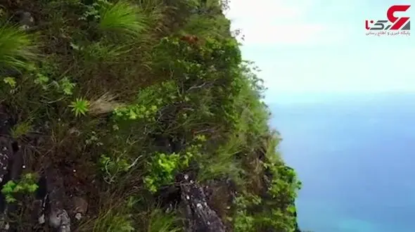 پهپاد وسیله ای تصویر برداری از مناطق بکر و دست نخورده هاوایی +فیلم