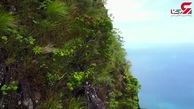 پهپاد وسیله ای تصویر برداری از مناطق بکر و دست نخورده هاوایی +فیلم