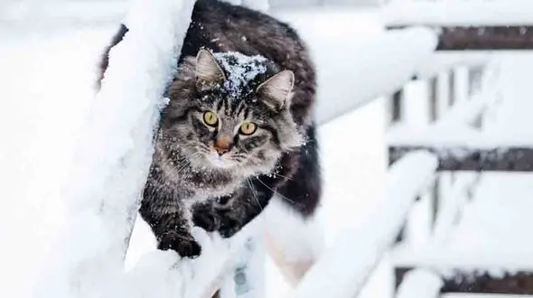 این فیلم بوی مرگ و زندگی می دهد !