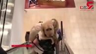 ترس بامزه  سگی  از پله برقی + تصویر