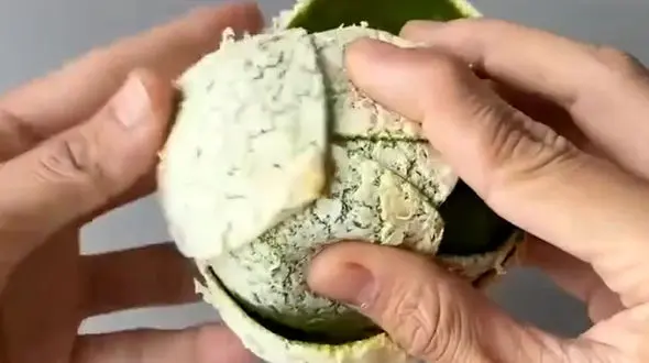 فیلم آموزش ساخت گل با پوست نارنگی