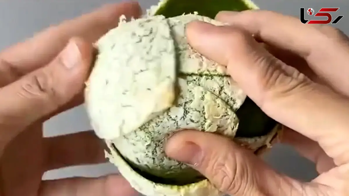 فیلم آموزش ساخت گل با پوست نارنگی