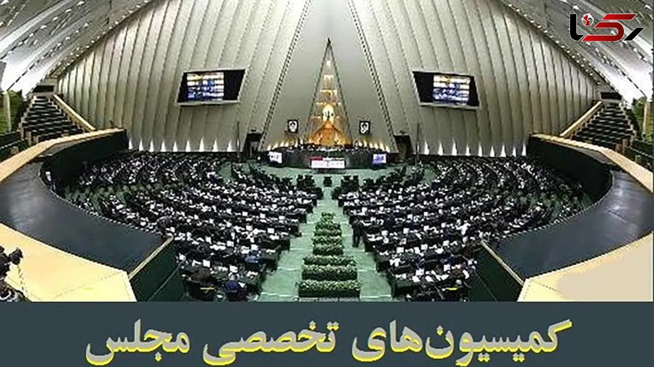 بررسی نحوه تامین نهاده‌های دامی در دستور کار کمیسیون‌های تخصصی مجلس