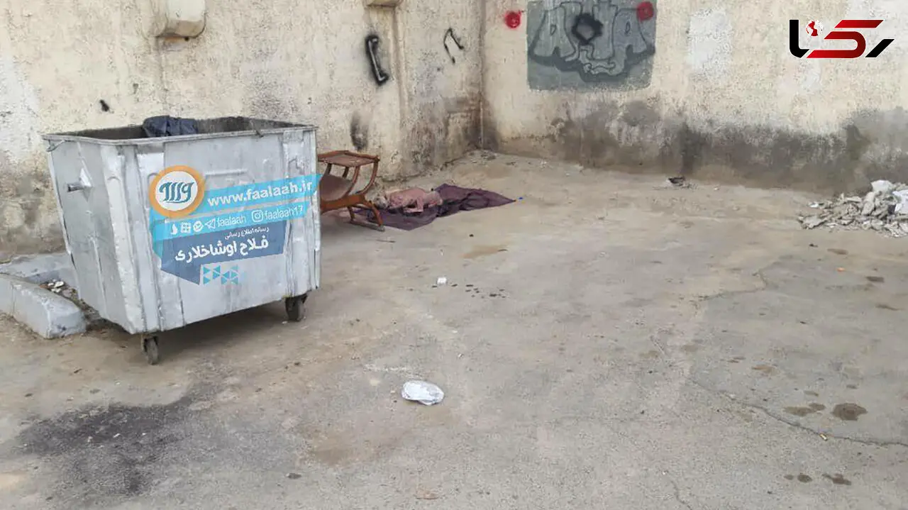 عکس تکاندهنده از جنازه یک  سگ در تهران + عکس