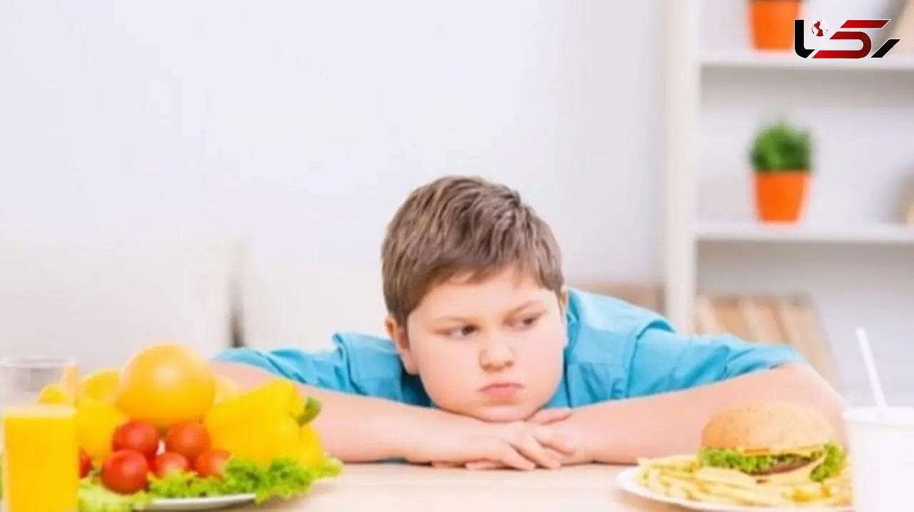 ترکیب رژیم غذایی پرچرب و چاقی، عامل افزایش اضطراب در نسل جوان