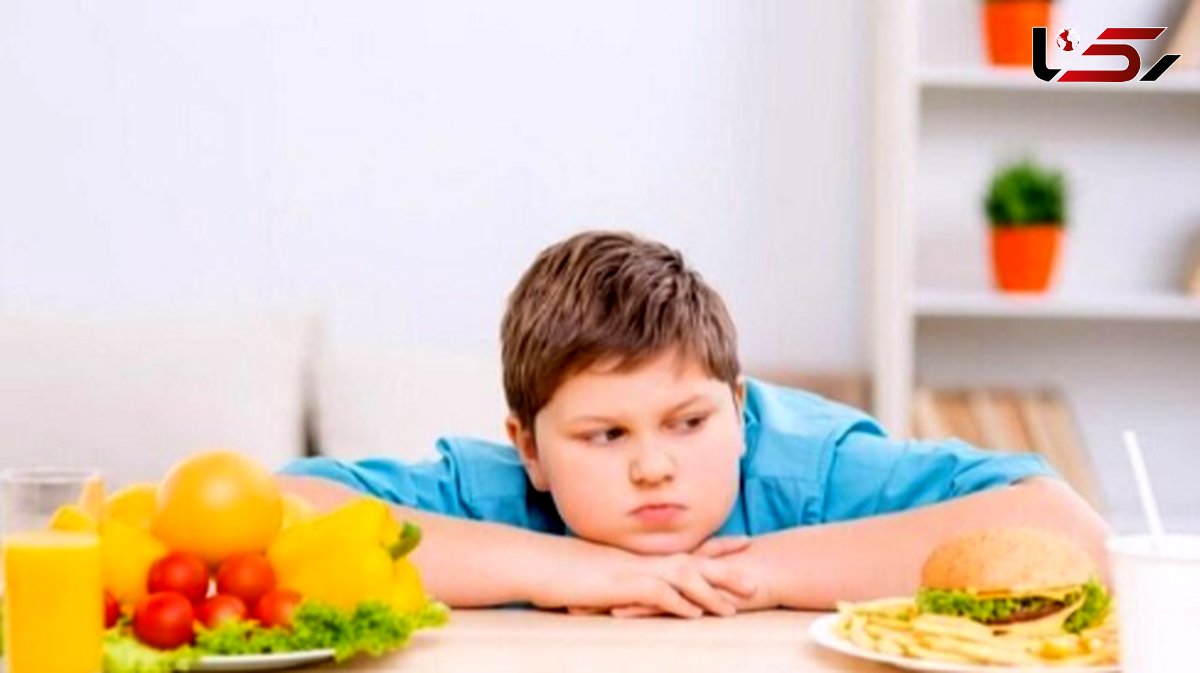  ترکیب رژیم غذایی پرچرب و چاقی، عامل افزایش اضطراب در نسل جوان 