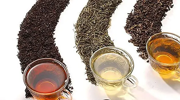 فواید انواع چای 