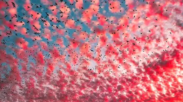 فال و طالع بینی روزانه یکم اردیبهشت 1405