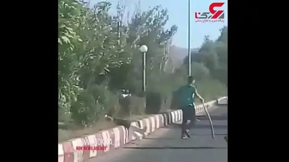 فیلم لحظه درگیری هولناک در میدان سبلان مشکین شهر /مردی با اصابت بیل به سرش ناک اوت شد+فیلم تکاندهنده