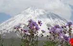 گزارش تصویری از پارک ملی لار تهران+ عکس
